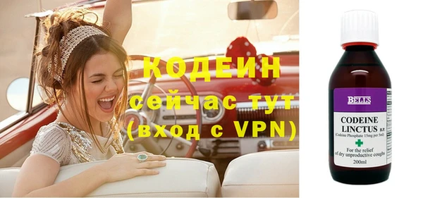 индика Бугульма