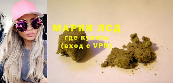 индика Бугульма