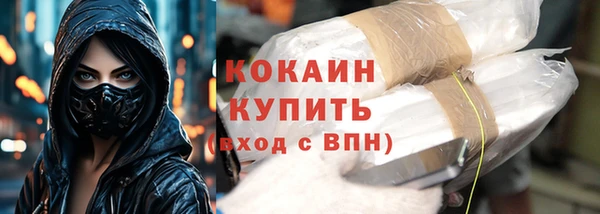 ешки Бронницы