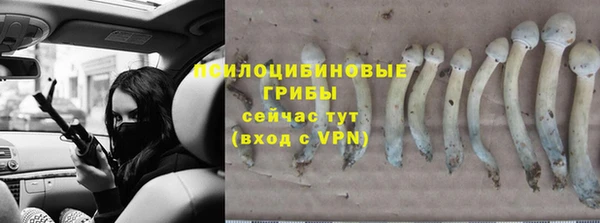 каннабис Бородино