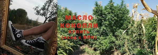 индика Бугульма