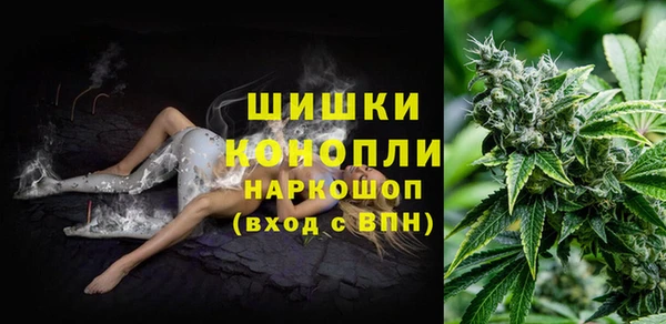индика Бугульма