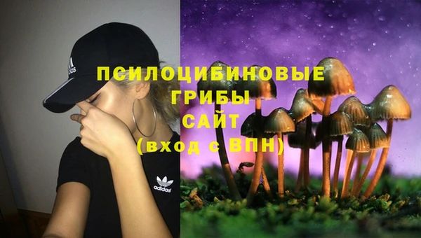 каннабис Бородино