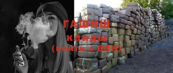 индика Бугульма