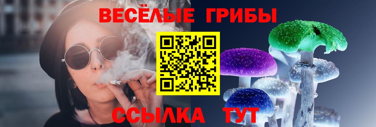 Галлюциногенные грибы Magic Shrooms  Вход с VPN  Медногорск 